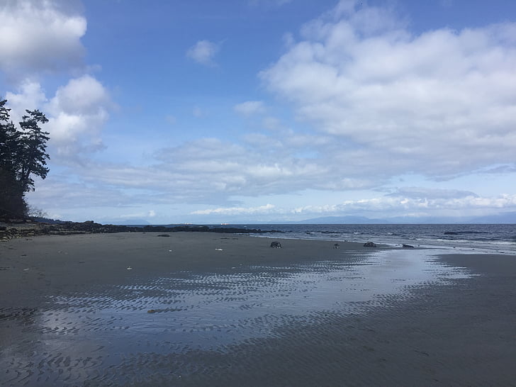 ビーチ, 島, 空