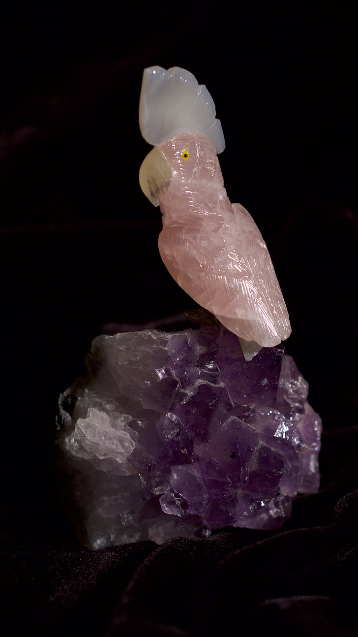 quartzo, papagaio, cristal, SFU