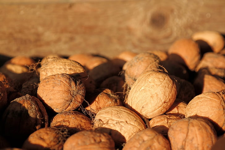 walnuts, bark, nuts, harvest, autumn, brown, food