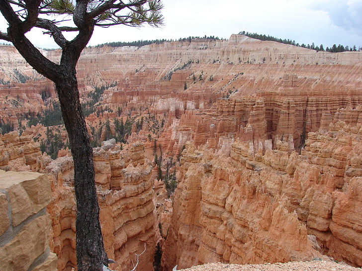 canó de Bryce, natura, canó, paisatge, representacions, EUA, Roca - objecte