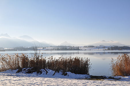 Allgäu, søen, vinter