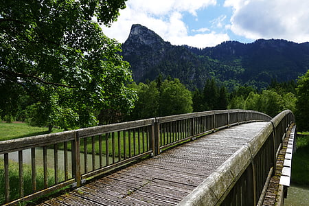 brug, Web, Promenade, berg, Alpine, natuur, weg