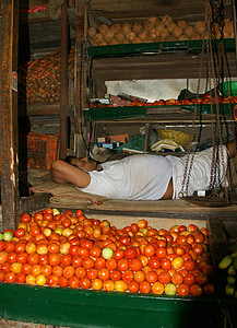 Índia, Mumbai, mercado de vegetais, frutas, descanso, sono, pobreza