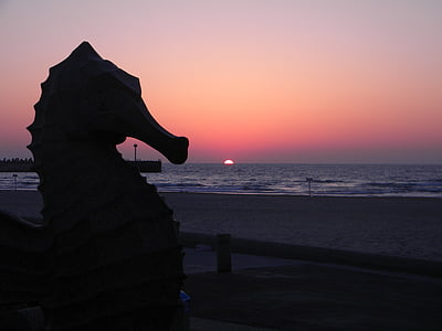 Sunset, havet, aften shore, solnedgang på havet, landskab, sommer, aften på havet