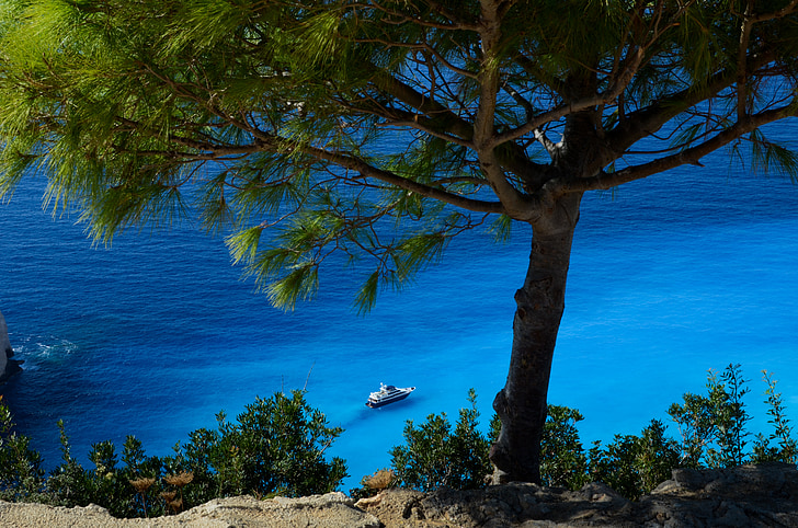 地中海, 海岸, 海岸, 水, 树, 小船, 度假