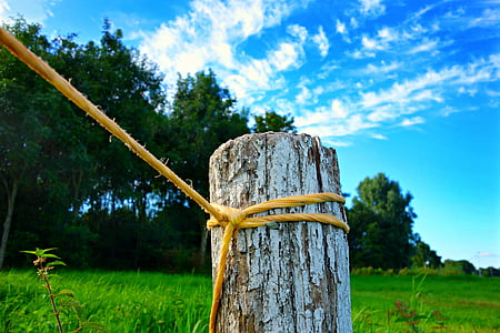 landscape, nature, field, grass, post, rope, rope tied to post