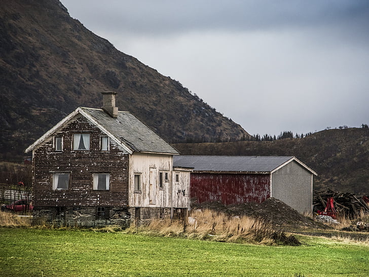 Haus, des ländlichen Raums, Feld, Lofoten, Norwegen, Winter, Grün