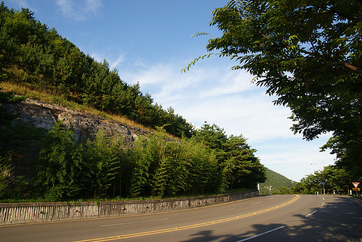 Road, Gil, skogen, landskap, naturen, Mountain, asfalt