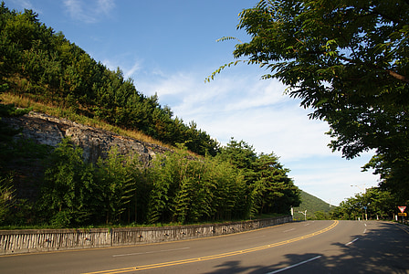 Road, Gil, skogen, landskap, naturen, Mountain, asfalt