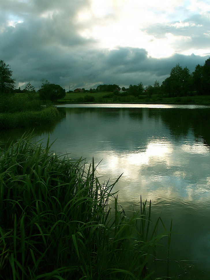 pond, water, reflection, sky, evening, evening sky, clouds