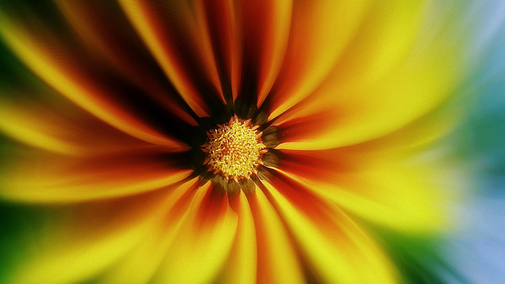 Sonnenblume, Hintergrund, Blume, Tapete, gelb, natürliche, Natur