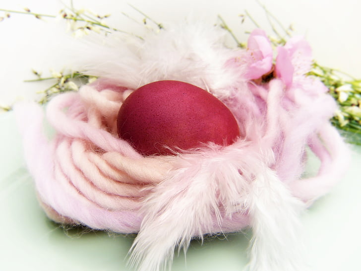 húsvéti fészek, tojás, piros, gyapjú, fészek, szín, festék tojás