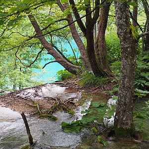 Plitvicka, snart, naturen, sjön, nationalparken, Kroatien, naturreservat