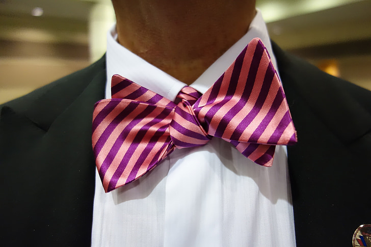 neckware, man, bow, bowtie, formal, party, dress-up