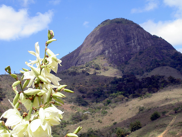 Brazilija, Pedra bonita mg, Gamta, žalia, grožio, akmuo, kalnų