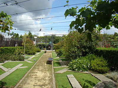 Κήπος Φεστιβάλ, Λίμα da Ponte, Πορτογαλία, Οδός, δέντρο