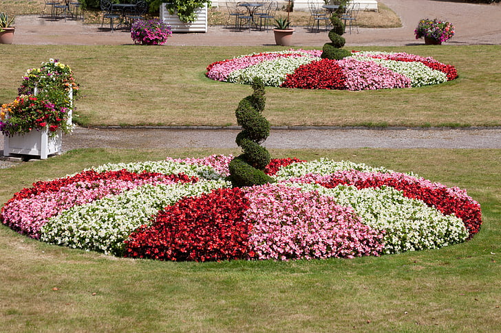 italienska trädgården, rondeller, blommor, Flora, Rosa, röd, vit