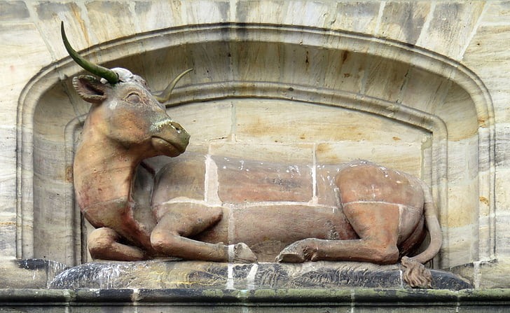 sapi, patung, Bamberg, rumah pembantaian, gambar hewan, gambar, fasad