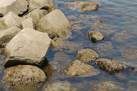 돌, 물, 라인 강, 뒤셀도르프, 강 풍경, 강, 라인 강 초원