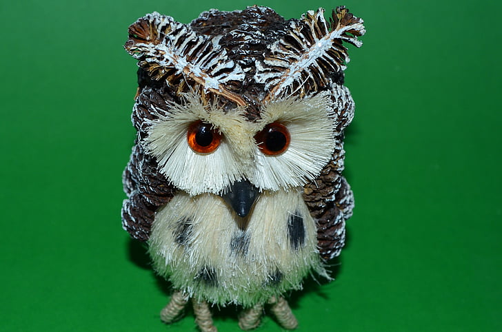 Owl, công việc lặt vặt, màu xanh lá cây, mỏ, nón, con chim, động vật
