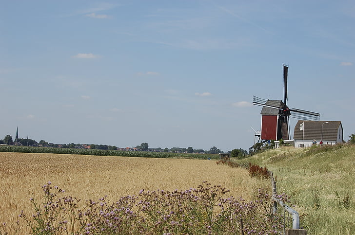 Mill, Dyke, maisema, Alankomaat, Hollanti