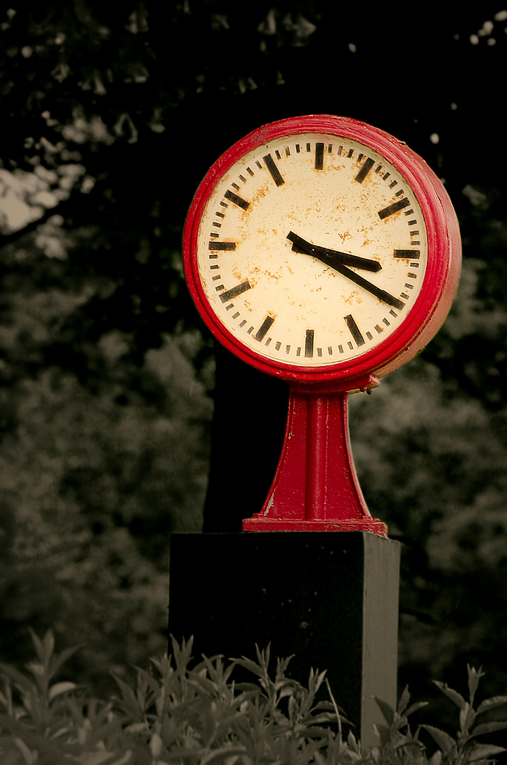 reloj, momento de la, tiempo, puntero de, que indica el tiempo, relojes, cara de reloj