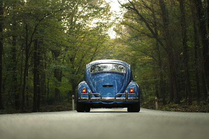 blå, Volkswagen, bille, midten, veien, trær, bil