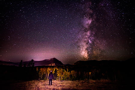 person, looking, starry, sky, mountain, trees, night
