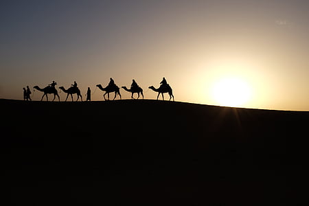 silueta, camells, persones, part superior, sol, posta de sol, camell