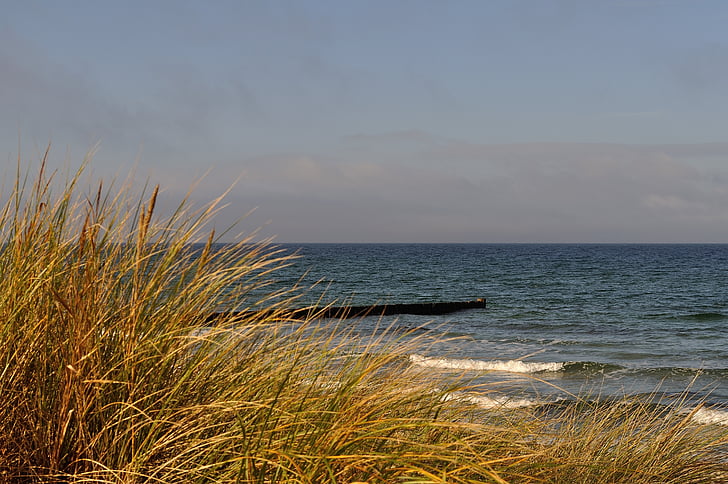 Itämeren, Beach, ruoho, taivas, Sea, Coast, Dunes