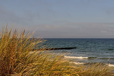 Baltische Zee, strand, gras, hemel, zee, kust, duinen