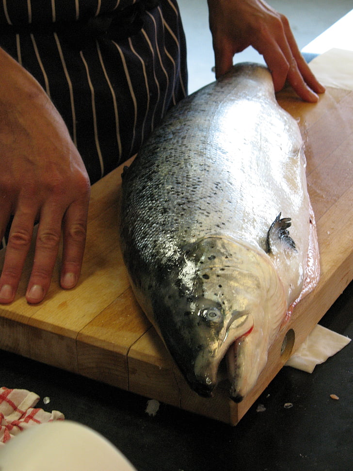 salmón, Noruega, peces de mar, cocinar