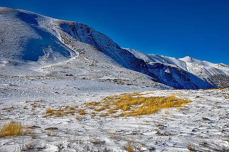 Makedonija, žiemą, sniego, kalnai, slėnis, augalai, kraštovaizdžio
