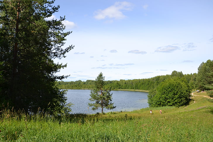 loodus, Lake, metsa, puu, suvel, Õues, vee