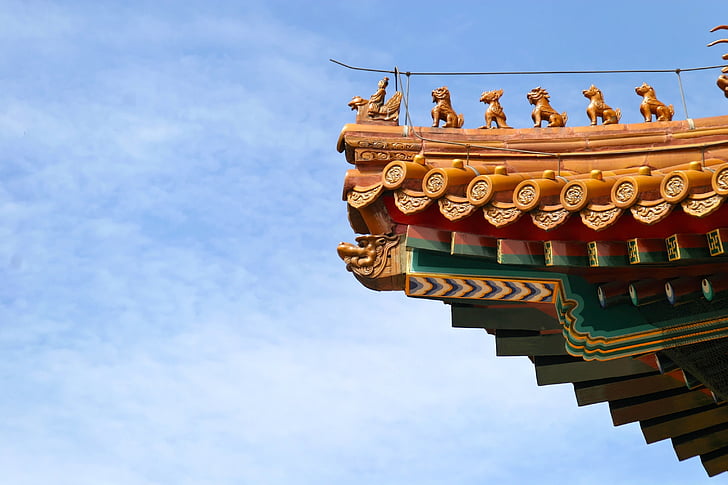 sostre, Xina, drac, ciutat prohibida, arquitectura, Pequín, Palau