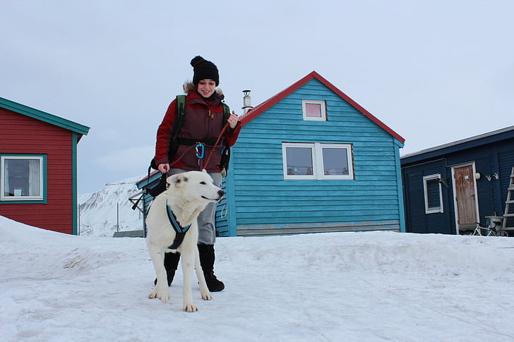 kutya, lány, téli, Norvégia, Svalbard, Lajka, Északi-sark