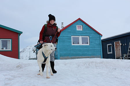 pes, Děvče, Zimní, Norsko, Svalbard, laika, Arktida