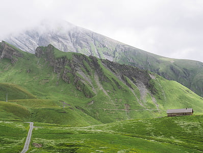 marrom, casa, perto de, montanha, verde, grama, Highland