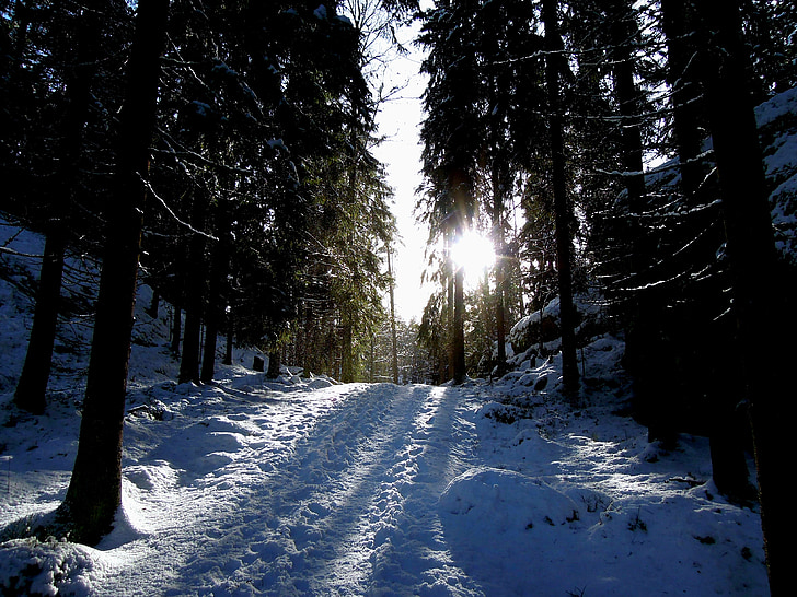 sun, the path, snow, nature, finnish, blue, road