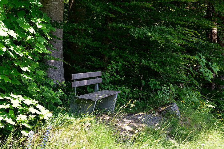 bench, bank, wooden bench, nature, rest, shadow, resting place