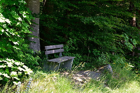 ベンチ, 銀行, 木製のベンチ, 自然, 残りの部分, シャドウ, 安息の地