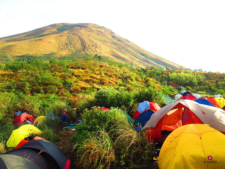Indonésio, Monte, ascensão, java do leste, acampamento, tenda, manhã