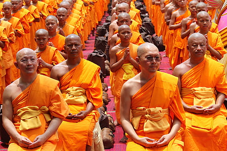 szerzetes, buddhisták, ül, idősek, régi, kopasz, hagyomány