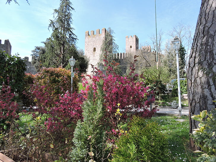 Garten, Schloss, Frühling, Torre, mittelalterliche, Baum, Bloom