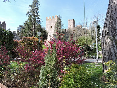 Sân vườn, lâu đài, mùa xuân, Torre, thời Trung cổ, cây, nở hoa