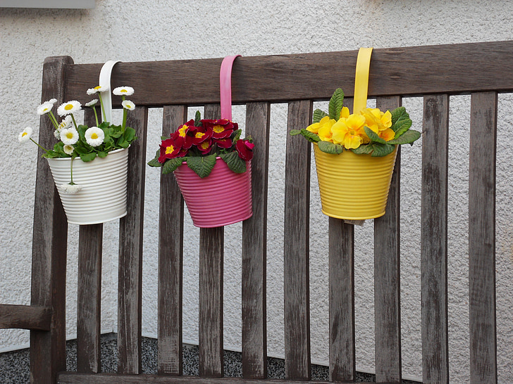 pot de fleurs, plante en pot, cache-pot, pot de fleur, fleurs, décoration