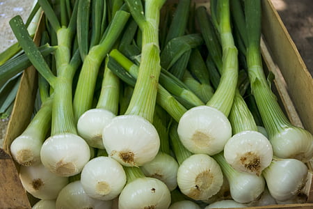 onions, young onions, vegetables, frisch, market, food, vitamins