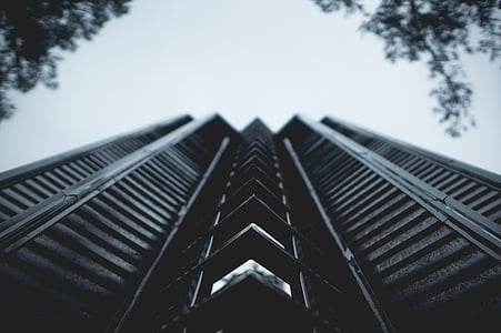 grayscale, low, angle, shot, photography, high, rise