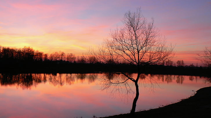 sunset, lake, tree, reflection, peaceful