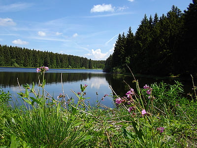 Oberharz Wasser Regal, Bergbau, Harz, Teich